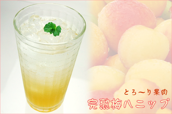 完熟梅ハニップ