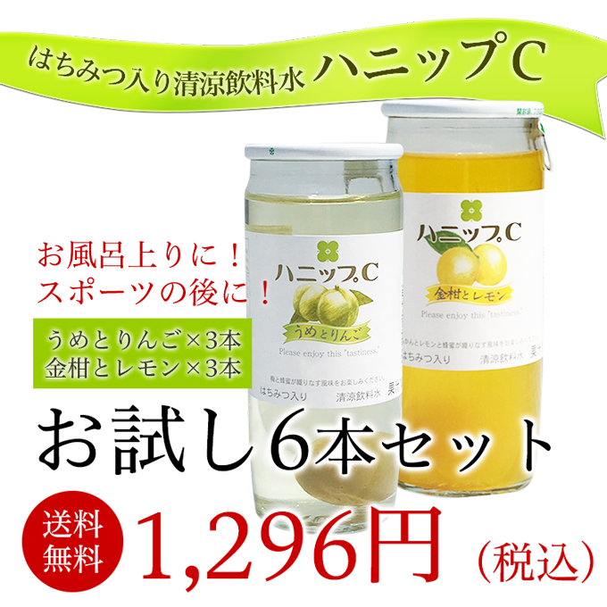 ハニップCセットトップ