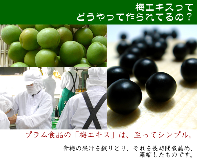 プラム食品の梅エキスは至ってシンプルです。