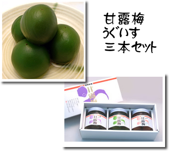 甘露梅　うぐいす3本セット