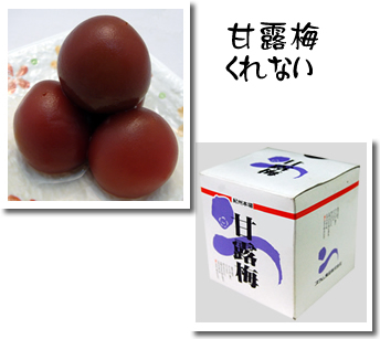 甘露梅　くれない