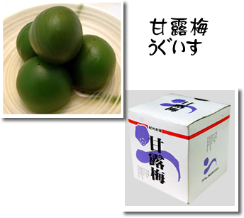 甘露梅うぐいす