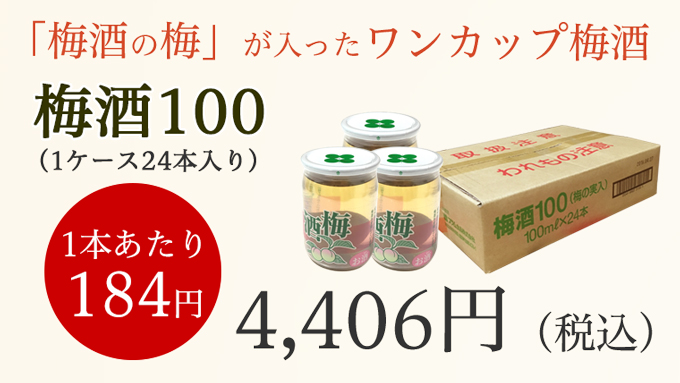 梅酒100 24本入価格