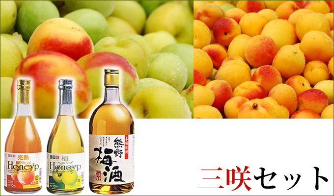 三咲セット