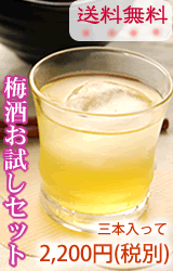 送料無料の梅酒お試しセット