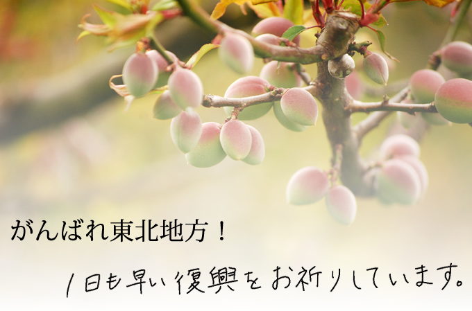 がんばれ東北地方！