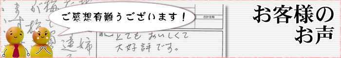 お客様のお声