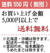 送料580円・5,000円以上お買い上げで送料無料（※北海道・沖縄、富田の水・坂本農園のうめたまご・さんま寿司は除外）