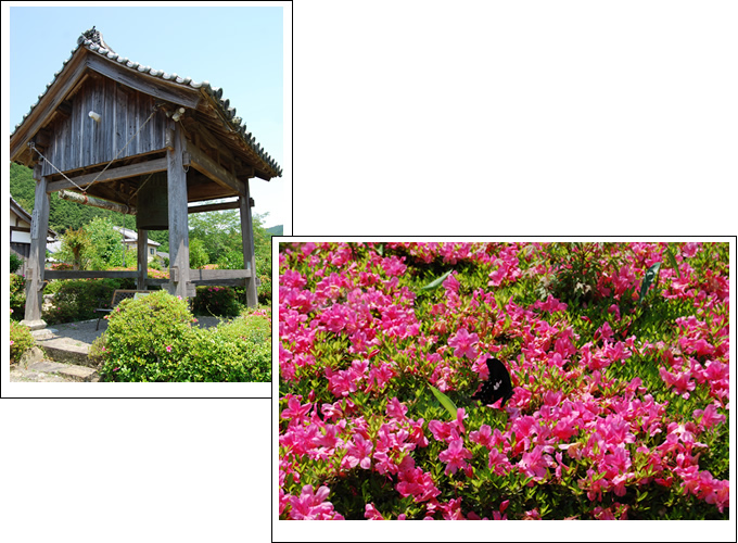 さつき寺