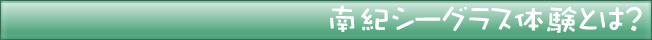 南紀シーグラス体験とは？