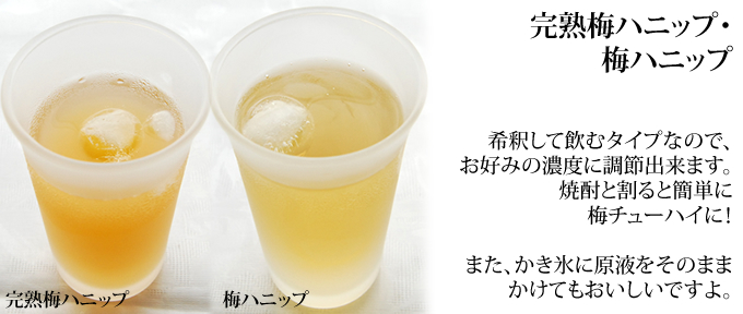 完熟梅ハニップ・梅ハニップ