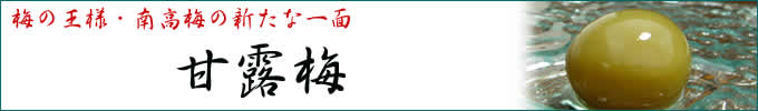 甘露梅