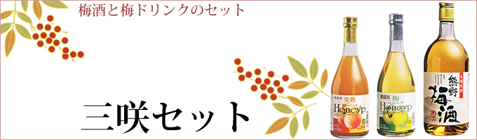 三咲セット