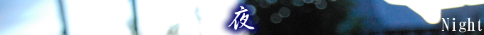 夜