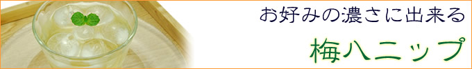 梅ハニップ