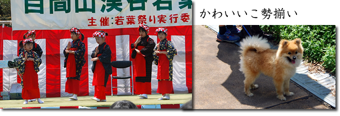 どっこいしょ～