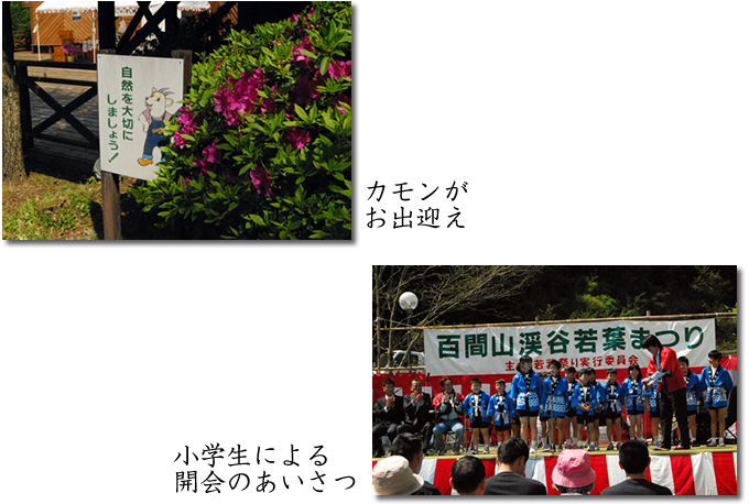 百閒山渓谷若葉まつり