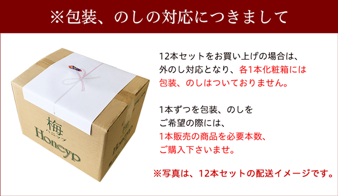 12本セットイメージ