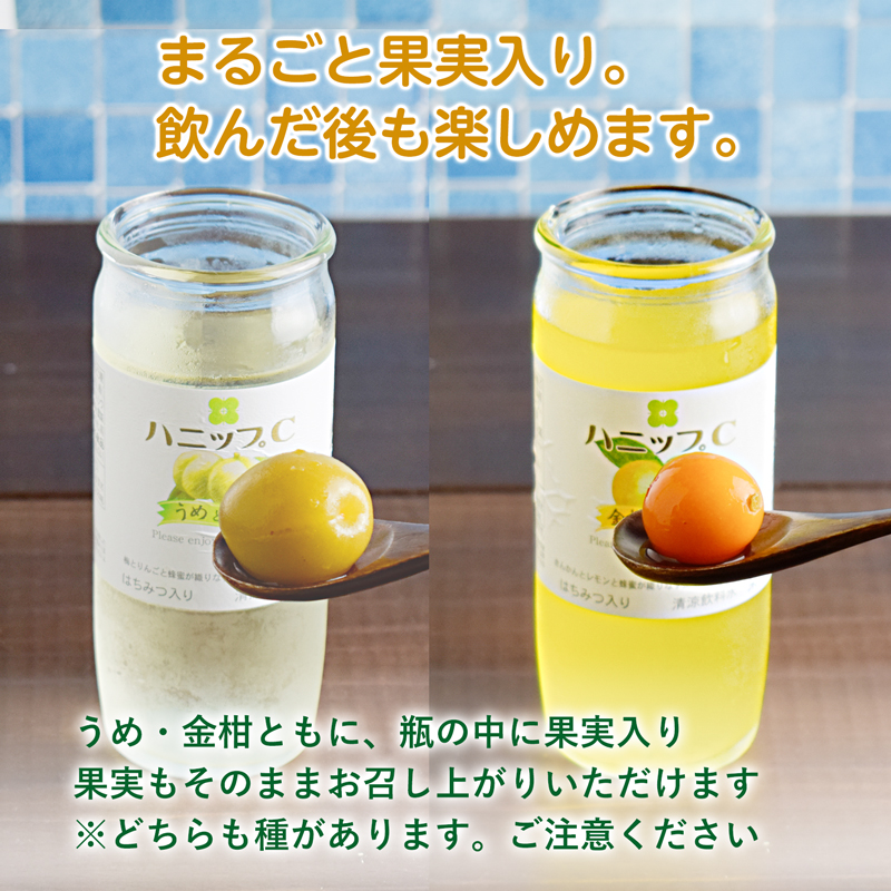 果実が丸ごと入っています。もちろん食べてもOK