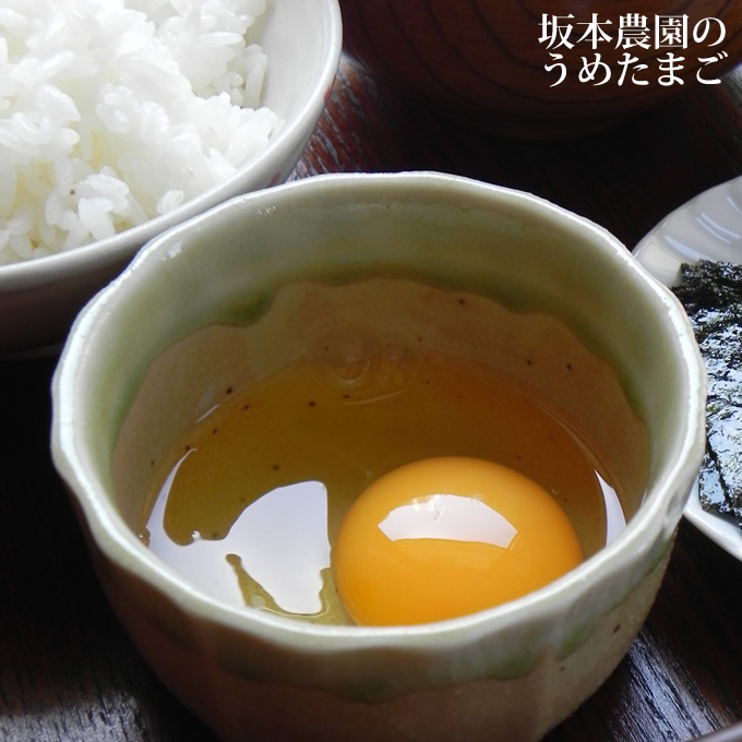 坂本農園のうめたまご