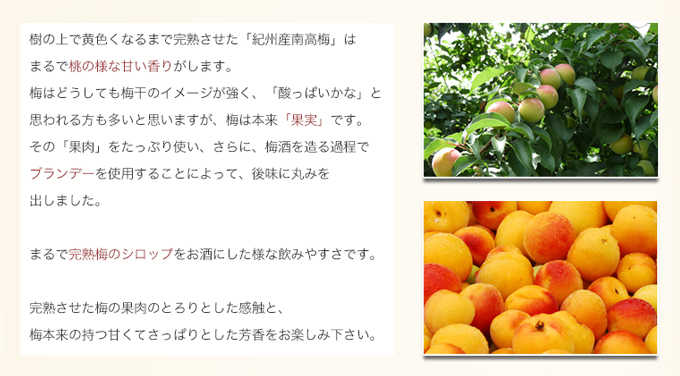 説明