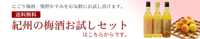 お試しバナー