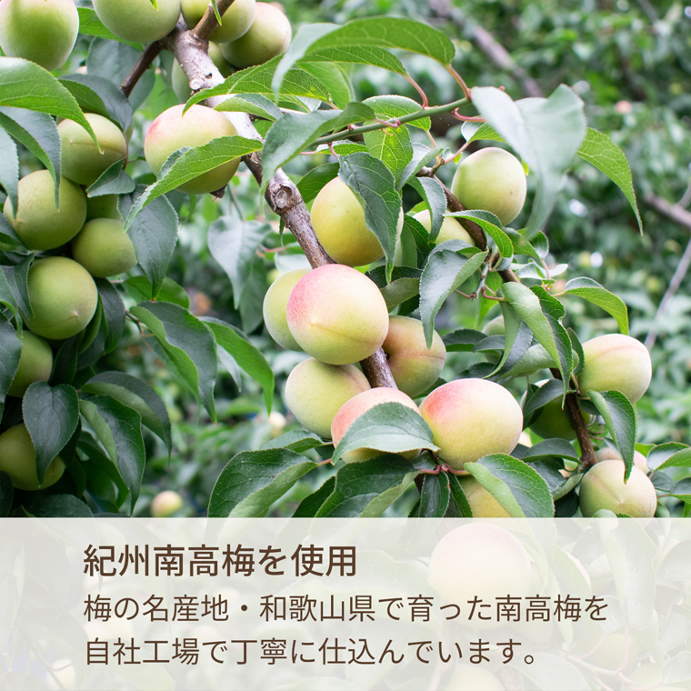 紀州南高梅を使用し自社工場で丁寧に仕込む熊野梅酒