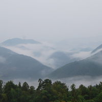 中辺路