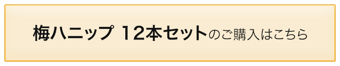 梅ハニップ12本セット