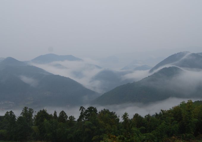 霧の里高原